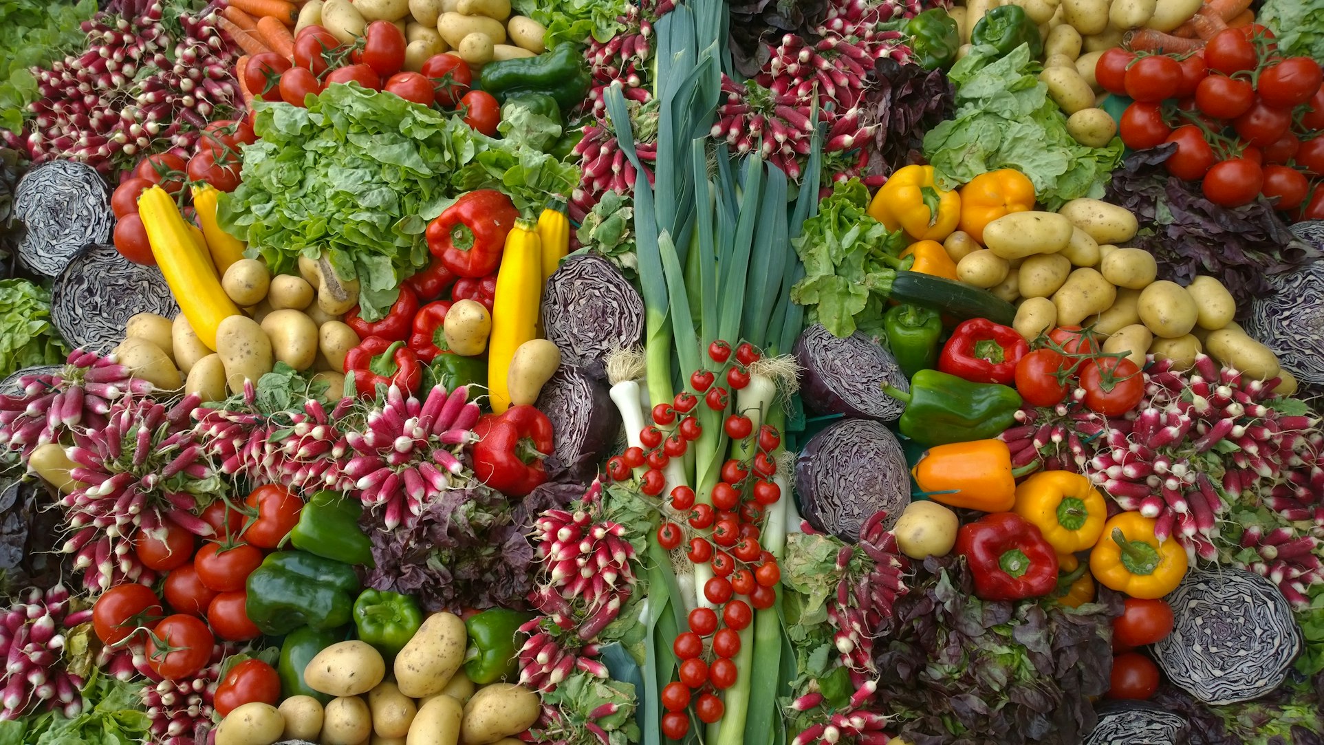Fresh Organic Vegetables and Leafy Greens